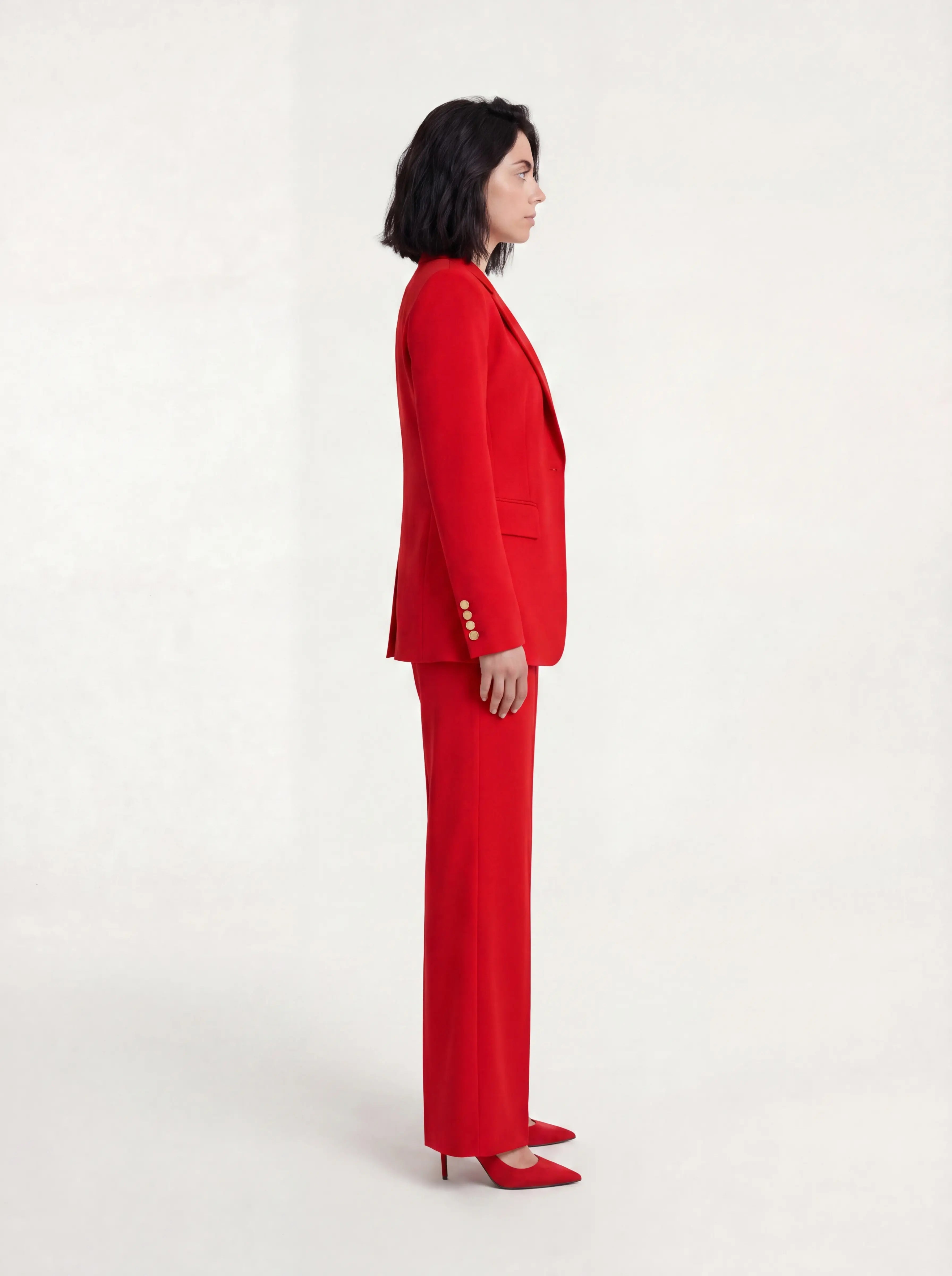 The Scarlet Suit